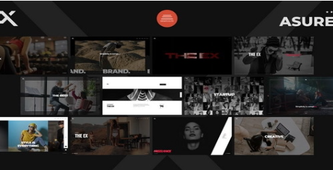 Asurex - WordPress Theme  1.0