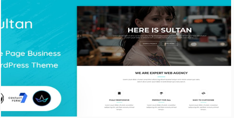 Sultan - One Page Business WordPress Theme  1.0