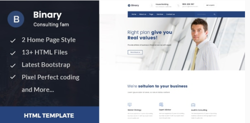 Binary - Business Consulting and Professional Services HTML Template