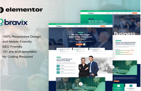 Bravix - Business Consulting Elementor Pro Template Kit 1.0
